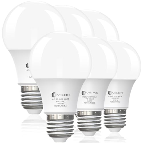 EVELOR A19 Daylight LED Bulbs