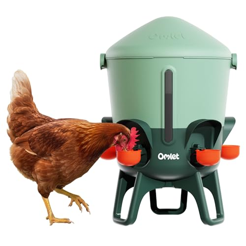 Discover the Top 10 Chicken Waterers for Your Flock in 2026