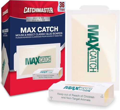 Discover the Top 10 Pest Control Traps of 2026