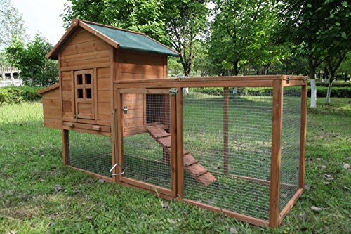 Discover the Top 10 Chicken Coops for Your Flock in 2026