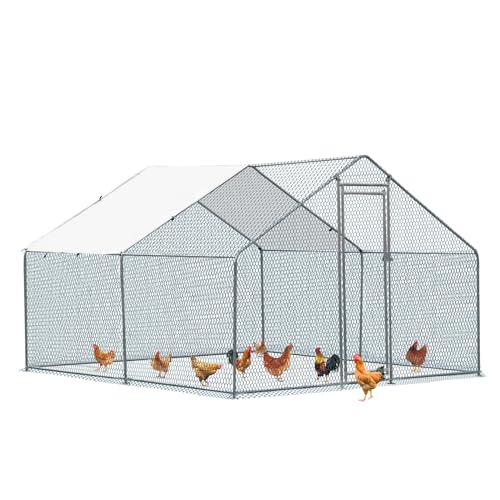 Outvita Chicken Coop