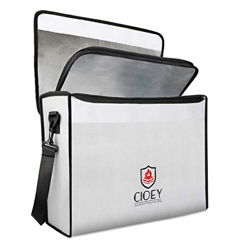 Coiey Fireproof Document Bag