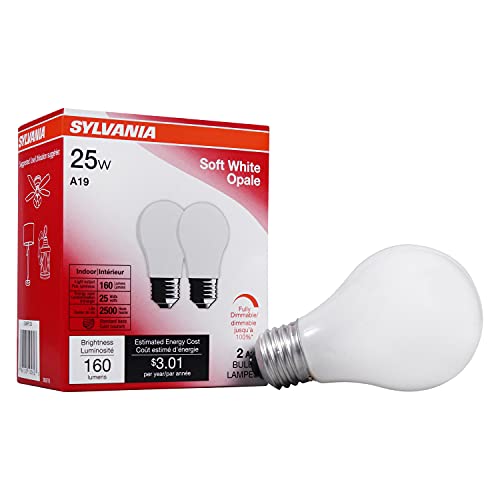 Top Incandescent Bulbs to Brighten Your Space in 2026
